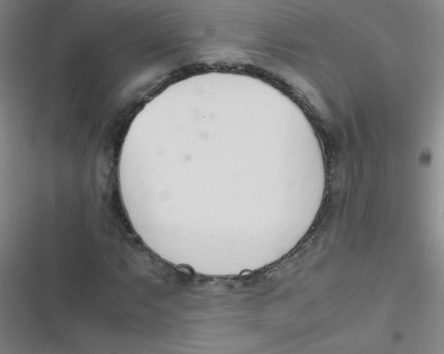 X0000116821063201001081412