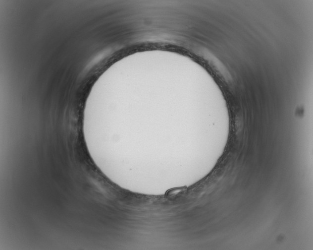 X0000116821064201001081412