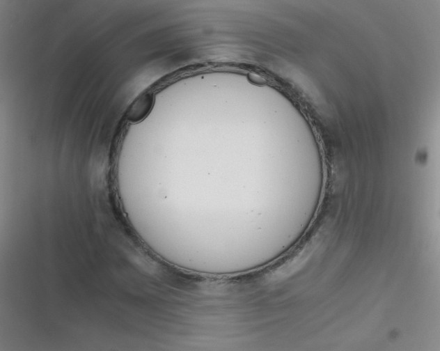 X0000116821065201001081412