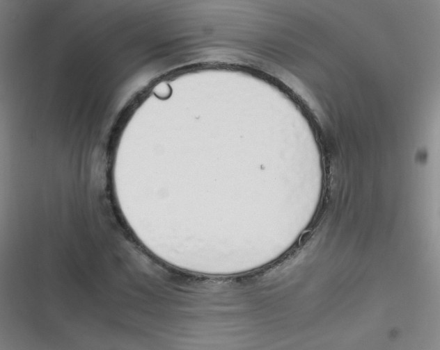 X0000116821067201001081412