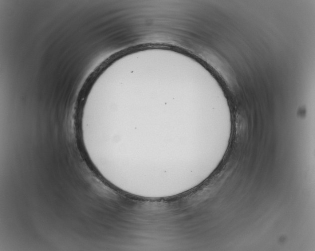 X0000116821068201001081412