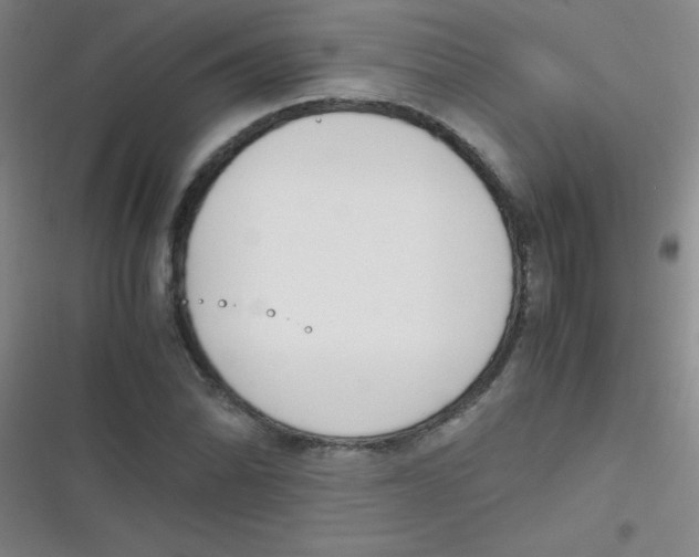 X0000116821070201001081412