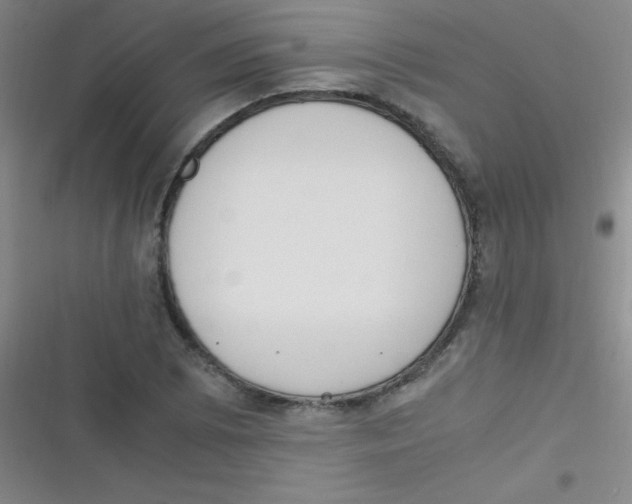 X0000116821073201001081412