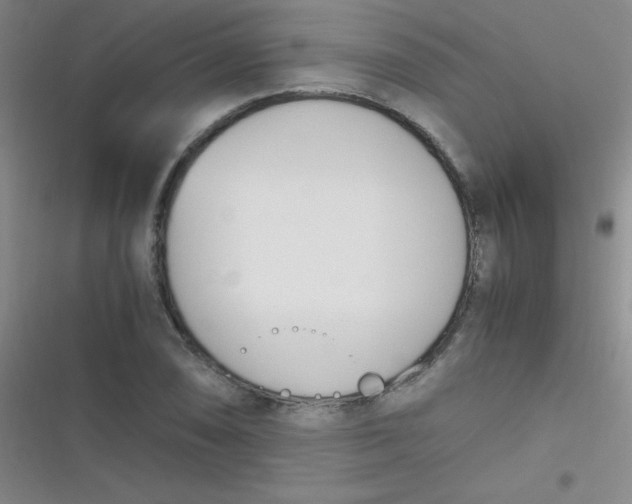 X0000116821074201001081412