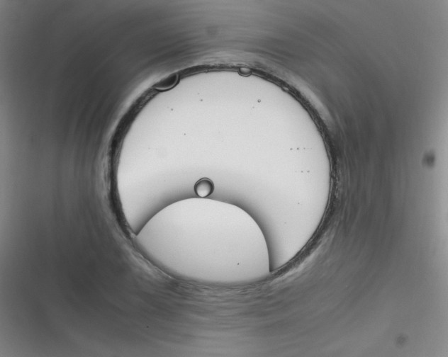 X0000116821075201001081412