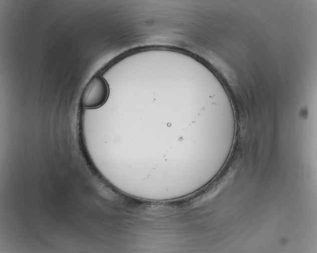 X0000116821077201001081412