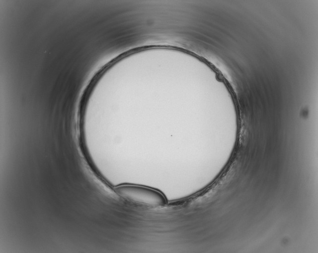 X0000116821080201001081412