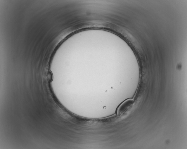 X0000116821081201001081412