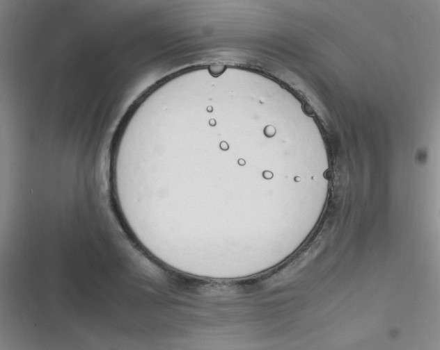 X0000116821083201001081412