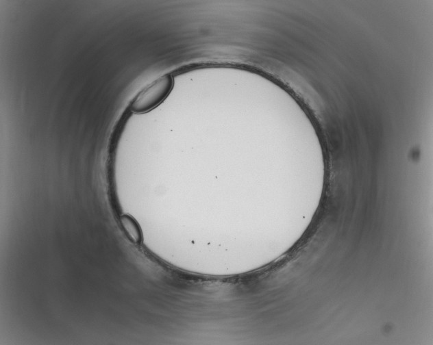 X0000116821085201001081412