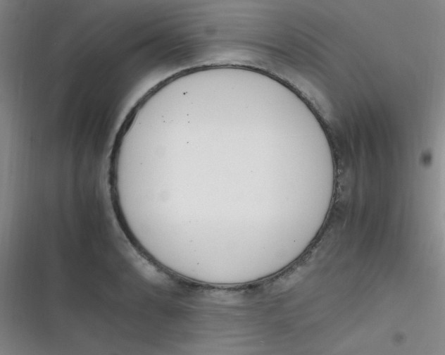 X0000116821086201001081412