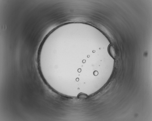 X0000116821087201001081412