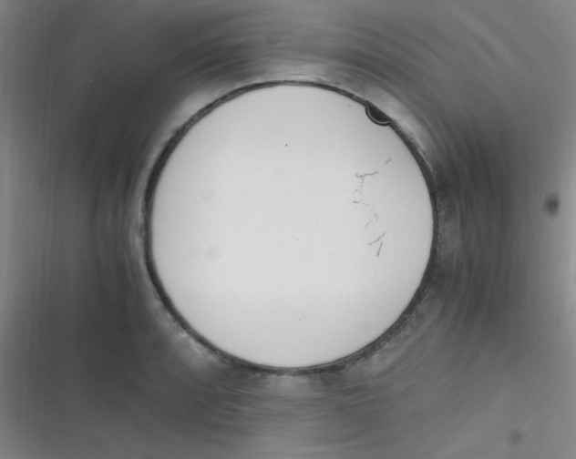 X0000116821088201001081412