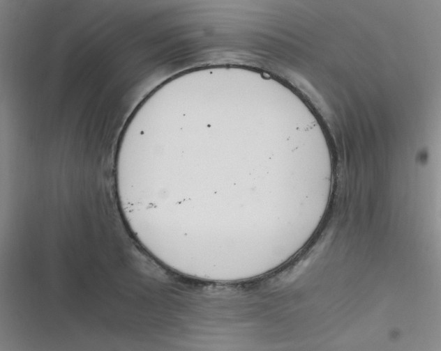 X0000116821089201001081412