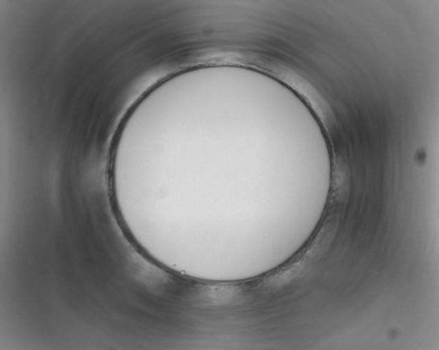 X0000116821090201001081412