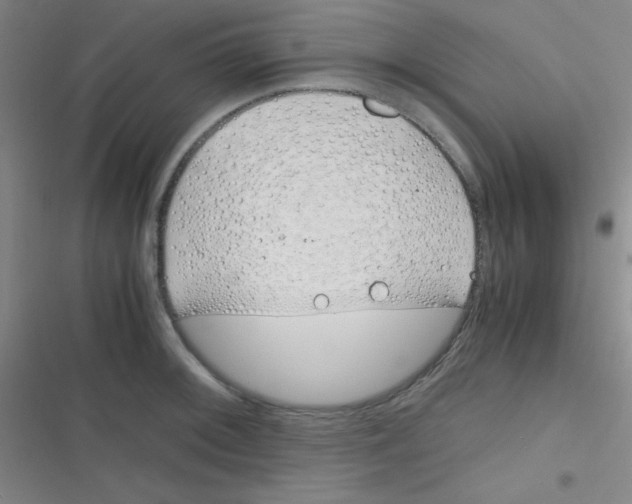 X0000116821092201001081412