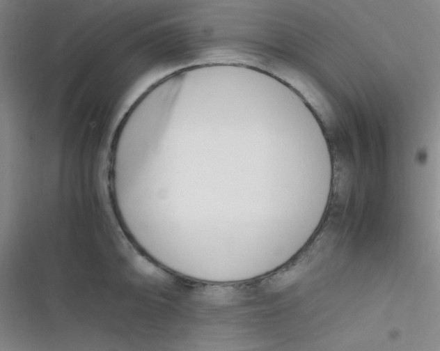 X0000116821094201001081412