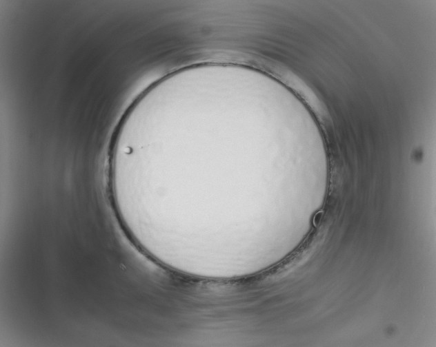 X0000116821095201001081411