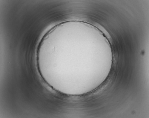 X0000116821096201001081411