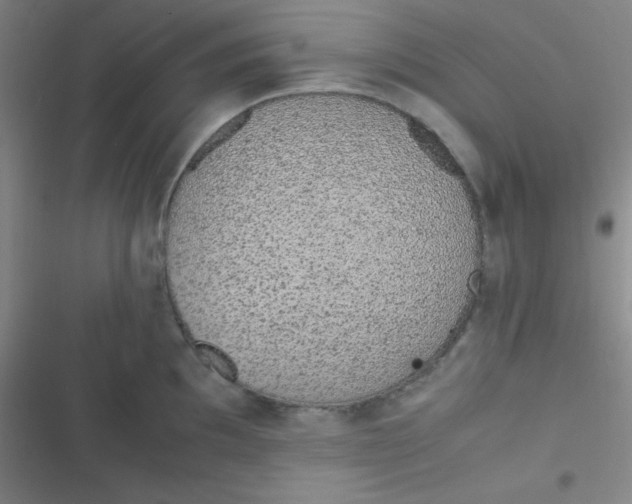 X0000116821097201001081411