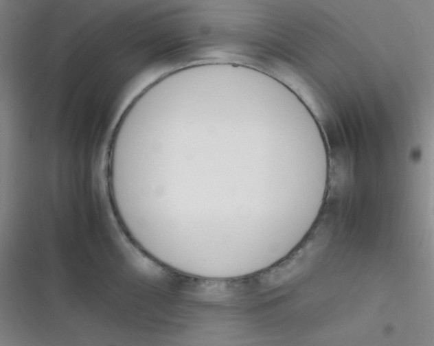 X0000116821098201001081411