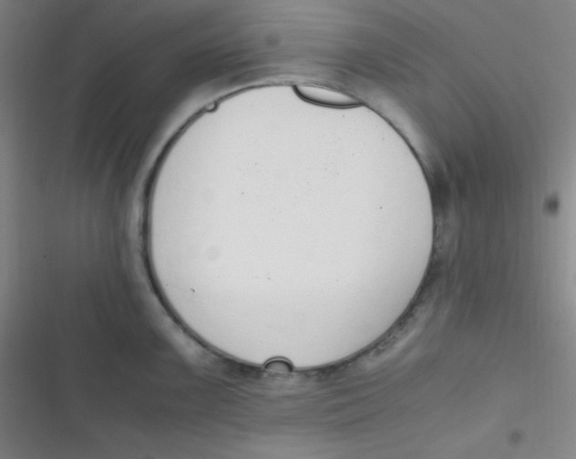 X0000116821099201001081411