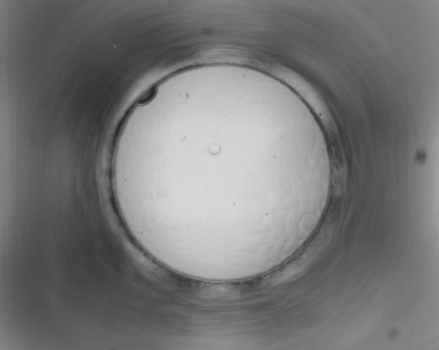 X0000116821101201001081411