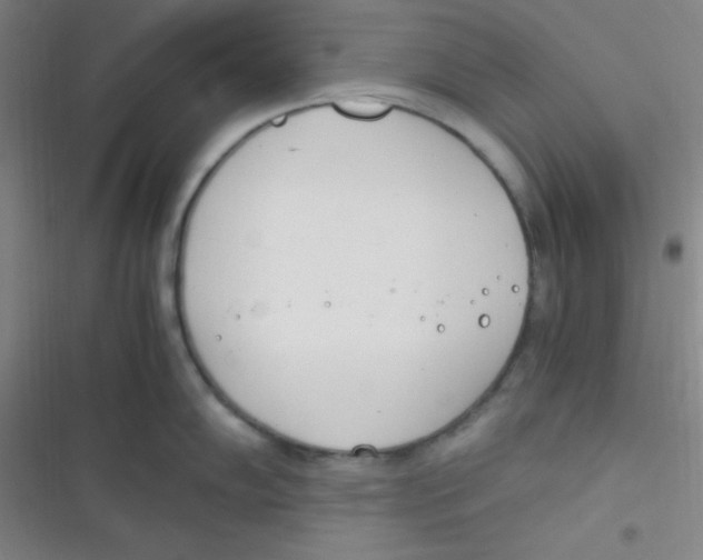 X0000116821102201001081411