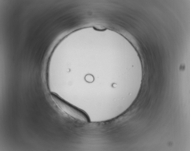 X0000116821104201001081411