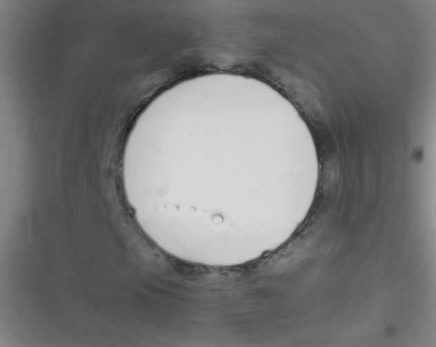 X0000116821105201001081411