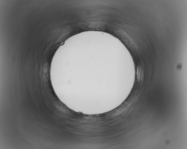 X0000116821107201001081411