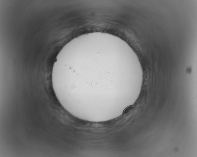 X0000116821109201001081411