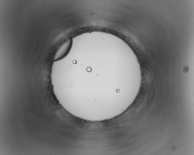 X0000116821110201001081411