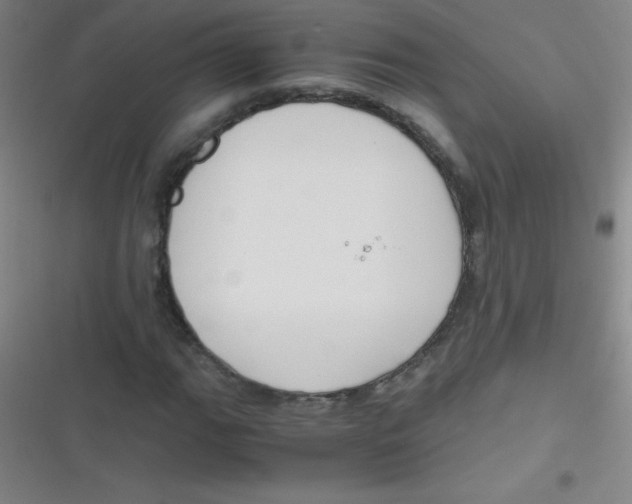 X0000116821111201001081411