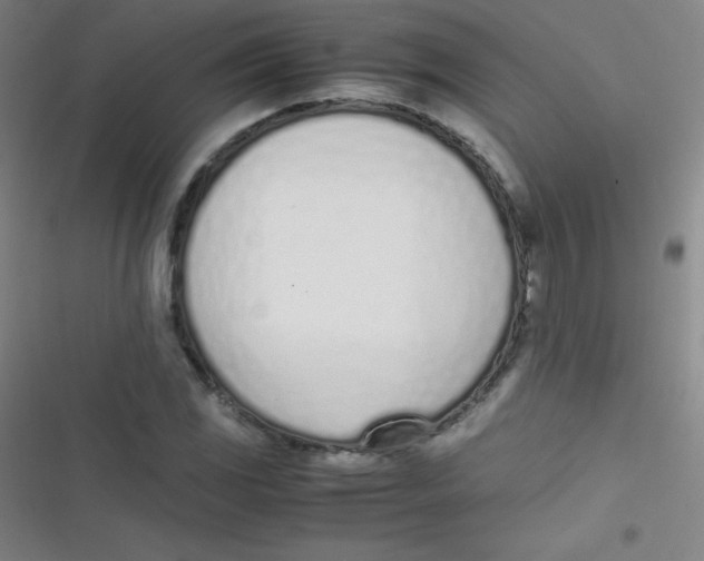 X0000116821117201001081411