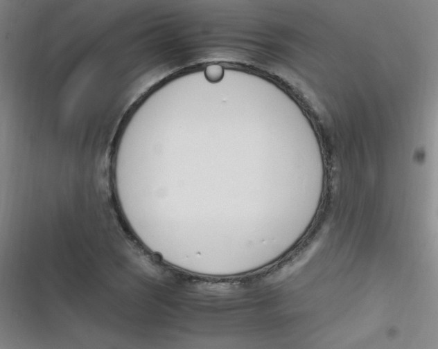 X0000116821121201001081411