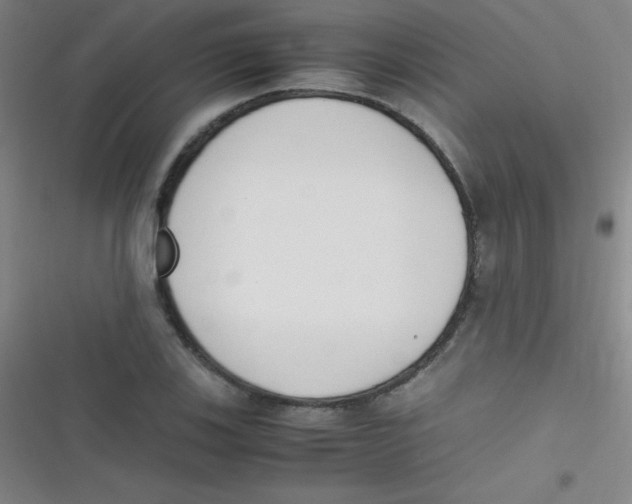 X0000116821123201001081411