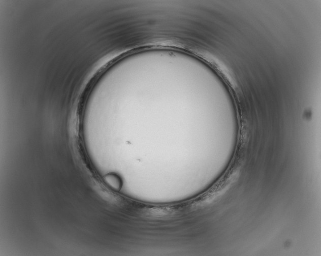 X0000116821125201001081411