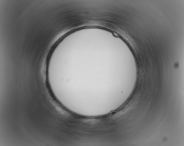 X0000116821127201001081411