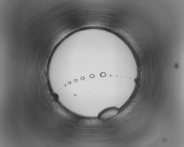 X0000116821129201001081411