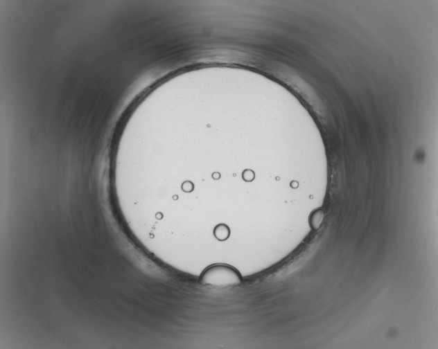 X0000116821130201001081411