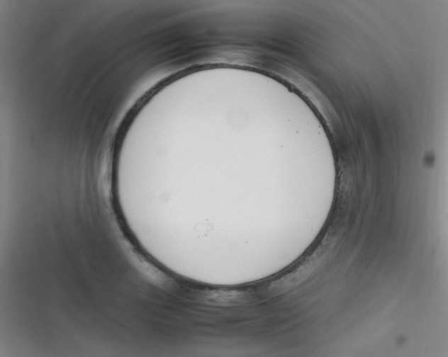 X0000116821131201001081411