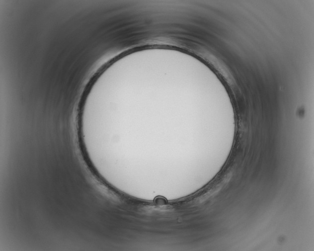 X0000116821133201001081411