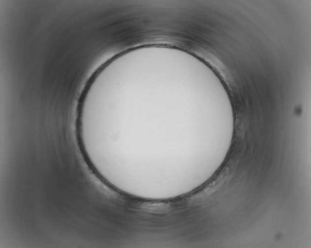 X0000116821135201001081411