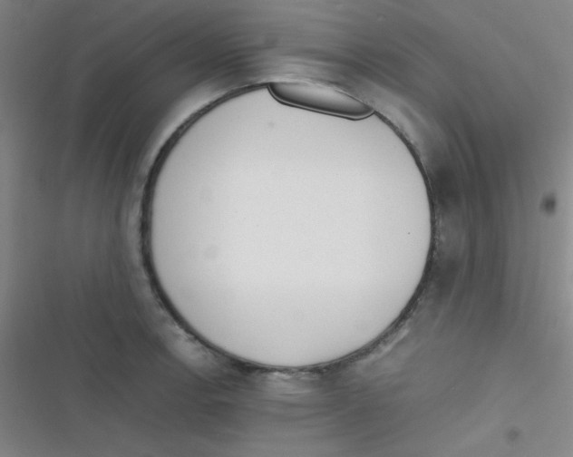 X0000116821138201001081411