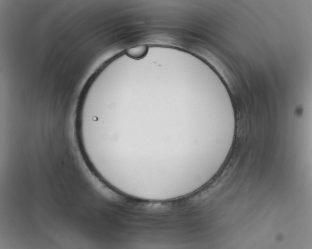 X0000116821139201001081411