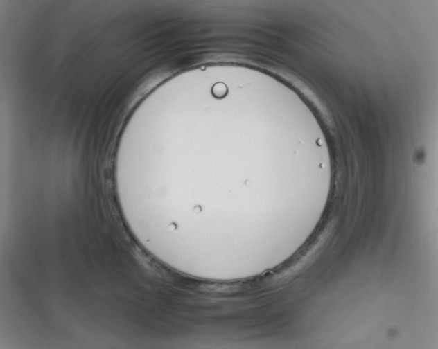 X0000116821145201001081411