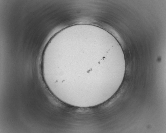 X0000116821146201001081411