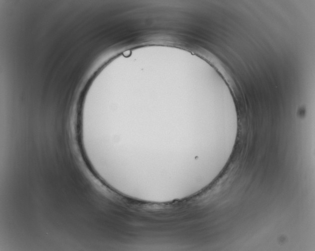 X0000116821147201001081411