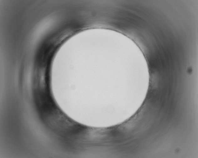 X0000116821150201001081411